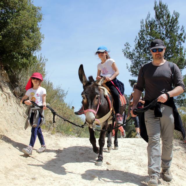 Enfants participant à une promenade à dos d’âne accompagnés d’adultes sur un sentier naturel du Garlaban à Aubagne