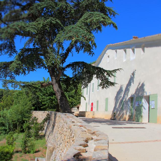 Parvis en pierre d’une bastide provençale avec façade claire et volets colorés, bordé d’un grand cèdre et entouré de végétation méditerranéenne sous un ciel bleu au domaine de Font de Mai à Aubagne