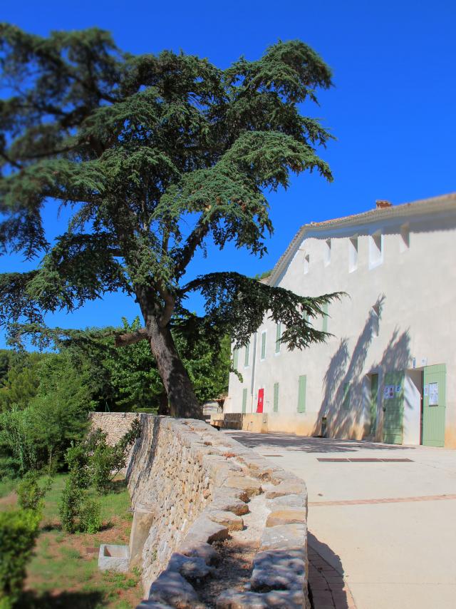 Parvis en pierre d’une bastide provençale avec façade claire et volets colorés, bordé d’un grand cèdre et entouré de végétation méditerranéenne sous un ciel bleu au domaine de Font de Mai à Aubagne