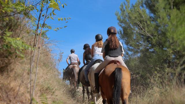 Equitation Sport Cavalier Pinède Balade La Provence A Cheval Oti Aubagne