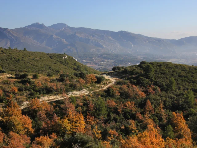 Sentier dans le massif de l'étoile en automne