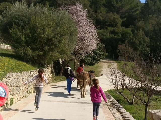 Ânes Balade Domaine de La Font De Mai