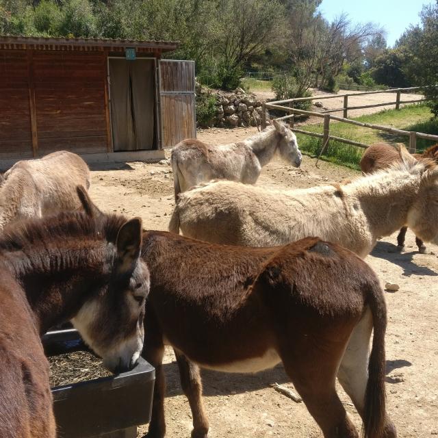 Anes Enclos Font De Mai Balade Location