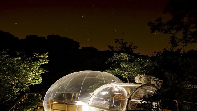 Bulle transparente éclairée la nuit, installée en pleine nature parmi les arbres, hébergement insolite sous le ciel nocturne - Bulle des Bois à Cuges-les-Pins