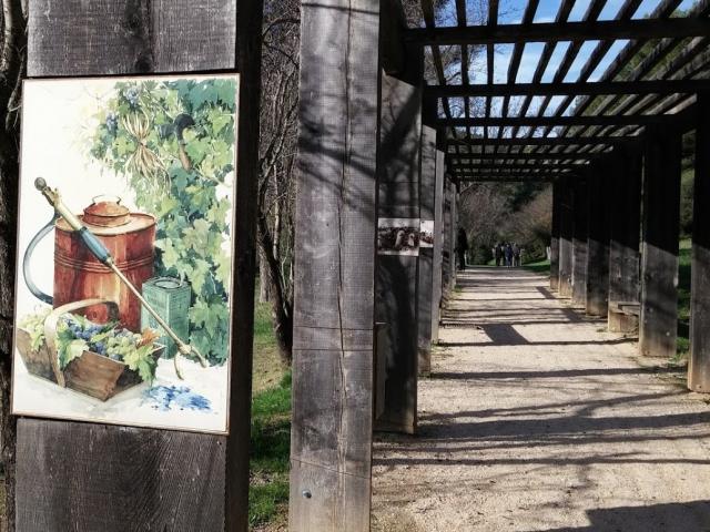 Sentier de promenade sous une pergola en bois au cœur d’un paysage naturel au domaine de la Font de Mai à Aubagne