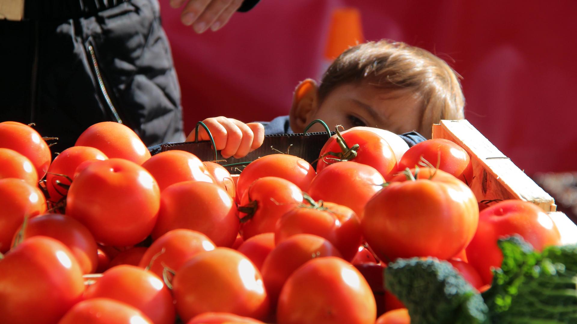 Marche Tomates Etal Provence Aubagne Hp Oti Aubagne