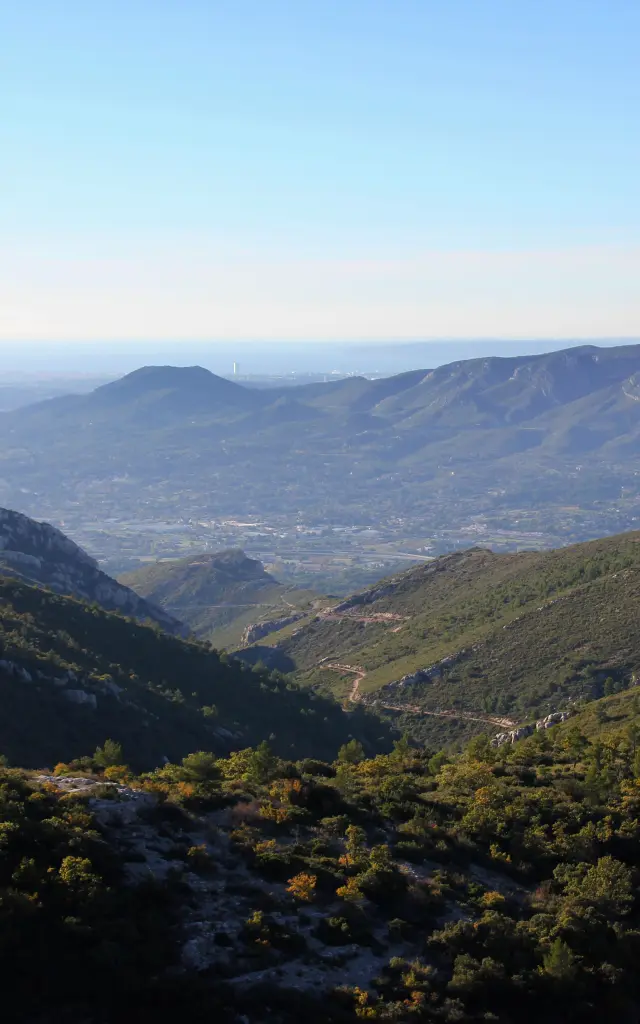 Paysage panoramique depuis une colline avec végétation de garrigue au premier plan, collines boisées au centre et Marseille à l’horizon sous un ciel bleu.