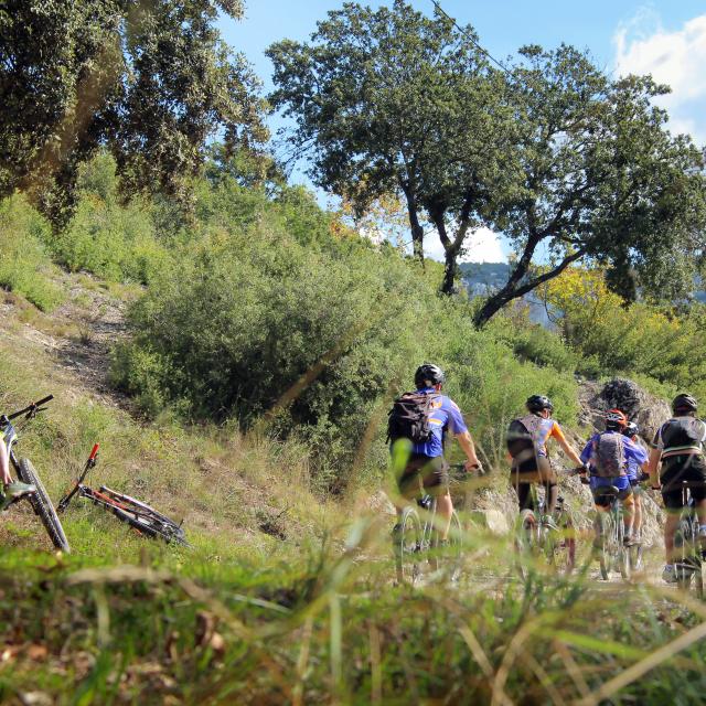 Groupe de vététistes avançant sur un sentier naturel en colline, avec des vélos tout-terrain et de la végétation autour.