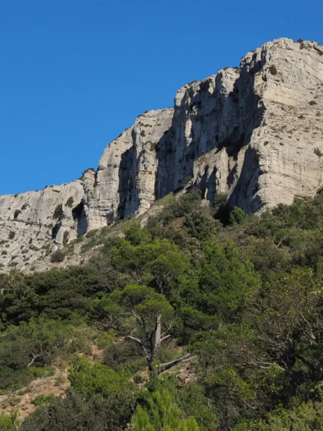 Falaises calcaires et reliefs escarpés du mont Aurélien sous un ciel bleu en Provence.