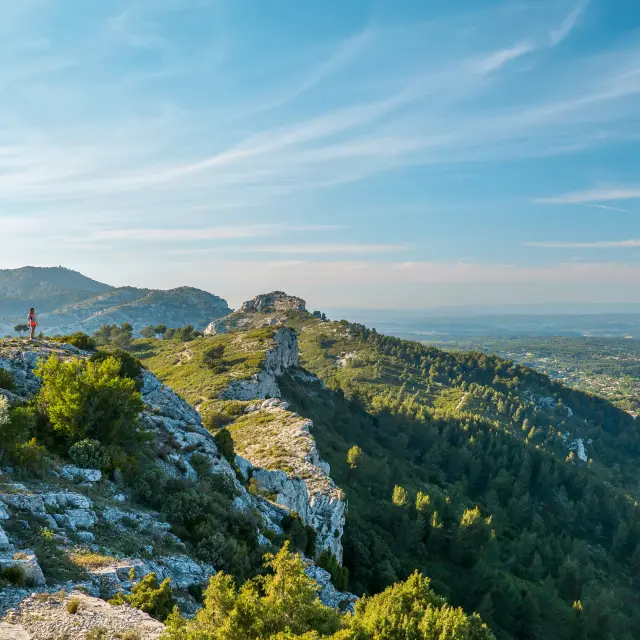 Massif calcaire de l'Etoile avec végétation méditerranéenne au premier plan, dominant des collines boisées et une plaine visible à l’horizon sous un ciel dégagé.