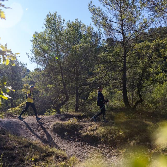 Deux randonneurs marchant sur un sentier forestier, entourés d’arbres et de végétation sous une lumière ensoleillée.