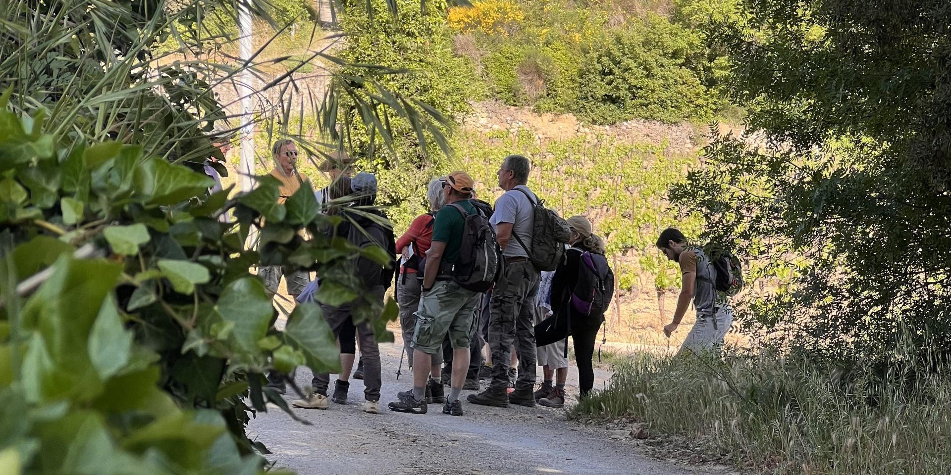 16e Festival De Randonnées