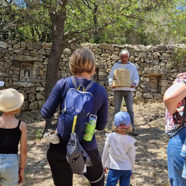 Groupe d’adultes et d’enfants participant à une animation autour des abeilles avec un apiculteur en milieu naturel