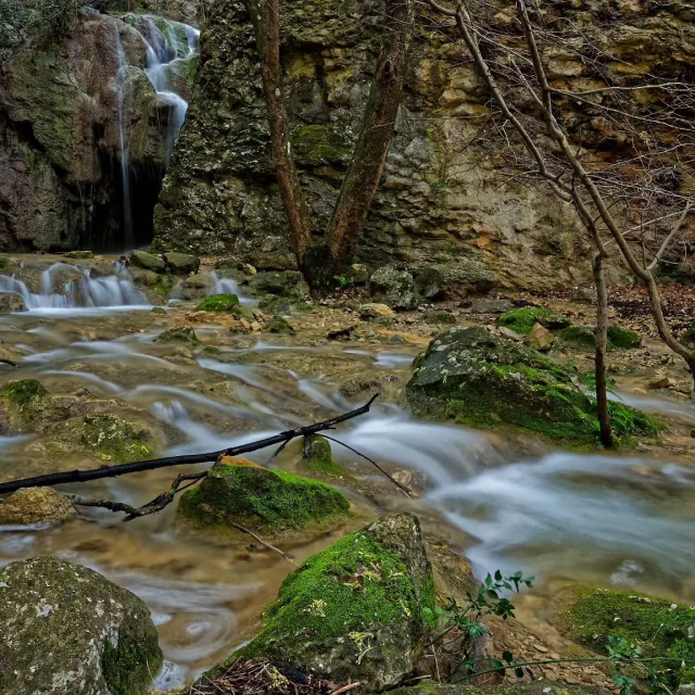 Instagram #saintebaume