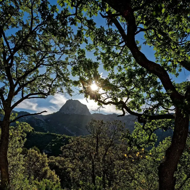 Instagram #saintebaume