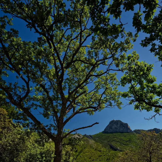 Instagram #saintebaume