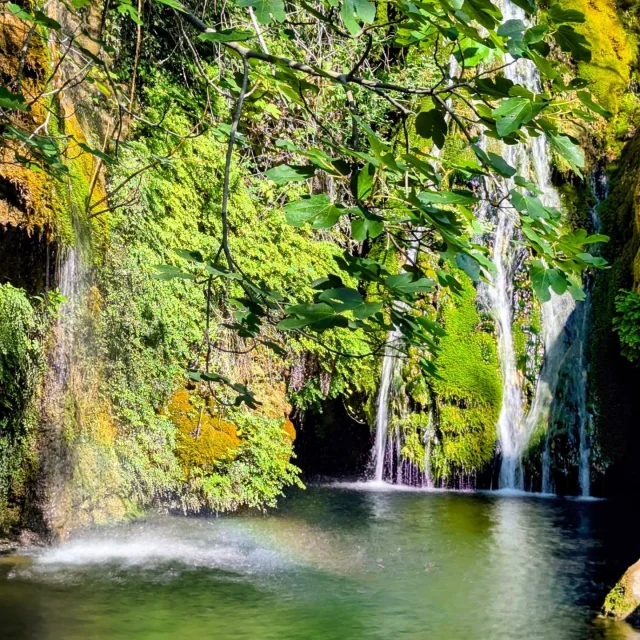 Instagram #saintebaume