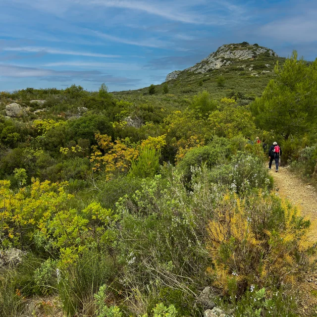randonneurs dans le garlaban