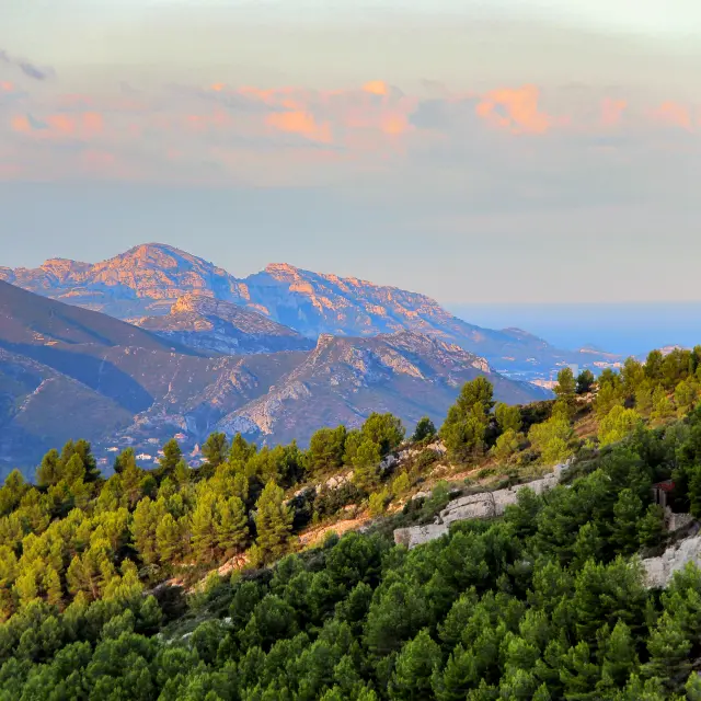 Paysage panoramique du massif de l’Étoile en Provence avec collines boisées de pins, reliefs rocheux et ciel pastel au lever du soleil.