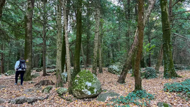 Rando dans le massif de la Sainte Baume